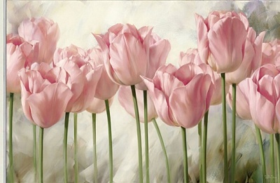 Всех милых женщин поздравляем с праздником 8 марта - Международным женским днём!