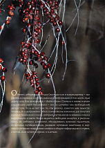 Внутренняя страница 6
