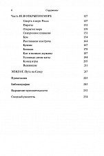 Внутренняя страница 4