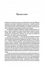 Внутренняя страница 5
