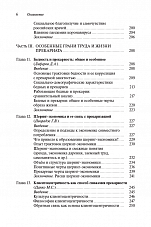 Внутренняя страница 6