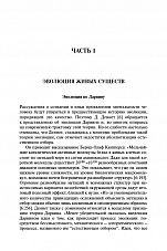 Внутренняя страница 7